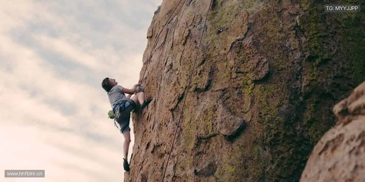 📱【直播平台】超清画质，错过的精彩都在这里回放！
